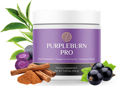 PurpleBurn Pro